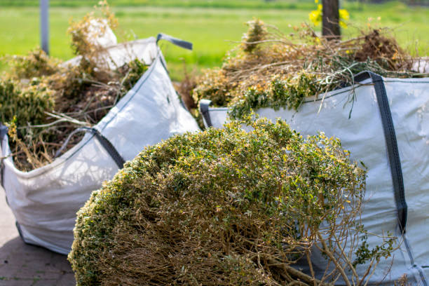 Best Dumpster Rental Services  in Flemington, NJ